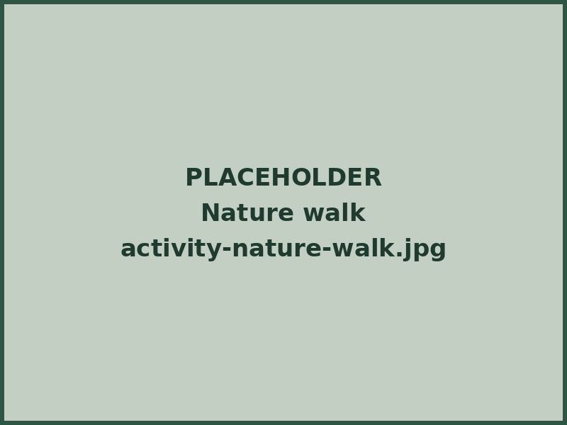 A small group walking a wooded trail