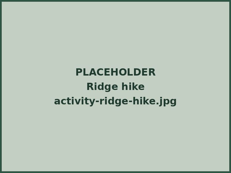 Hikers on a rocky ridge trail above a lake
